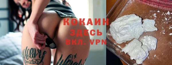 прущие грибы Краснослободск