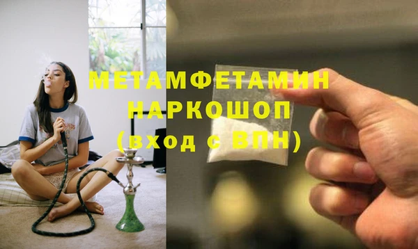 прущие грибы Краснослободск