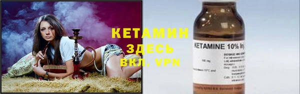 прущие грибы Краснослободск