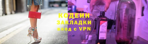 прущие грибы Краснослободск