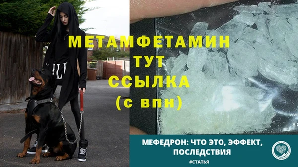 прущие грибы Краснослободск