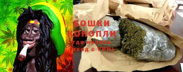 прущие грибы Краснослободск
