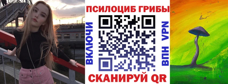 Галлюциногенные грибы GOLDEN TEACHER  Купить закладки  Козельск 
